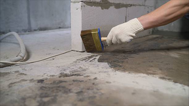 24/7 Emergency Crawl Space Encapsulation experts in Richmond Dale, OH